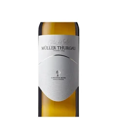 Vini Del Geso Trentino DOC 2021 Cantina Mori Colli Zugna