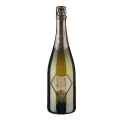 Vini Extreme XT Morgex Valle D'Aosta DOC 2022 Metodo Classico Extra Brut - Cave Mont Blanc
