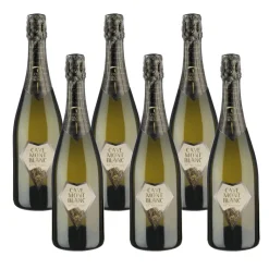 Vini Extreme Xt Valle D'Aosta DOC 2021 Cave Mont Blanc