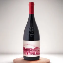 Vinudilice Etna DOC 2023 I Vigneri Di Salvo Foti