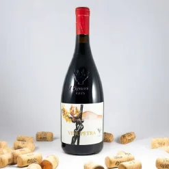 Vinupetra Etna DOC 2022 I Vigneri Di Salvo Foti