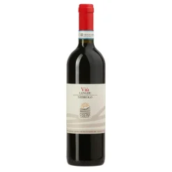 Viu Nebbiolo Langhe DOC 2024 - Cascina Carlot