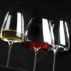 Zieher Vision Set Degustazione Con Valigetta