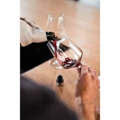 Zwilling Fresh & Save Tappo Salva Vino In Acciaio Inox