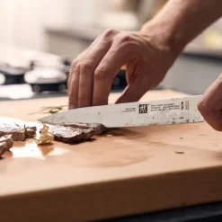 Zwilling Gourmet Coltello Carne Liscio In Acciaio Inox